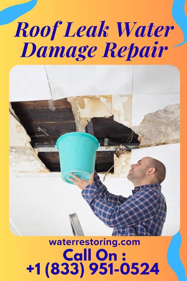 Roof Leak Water Damage Repair in Sunland Estates, WA